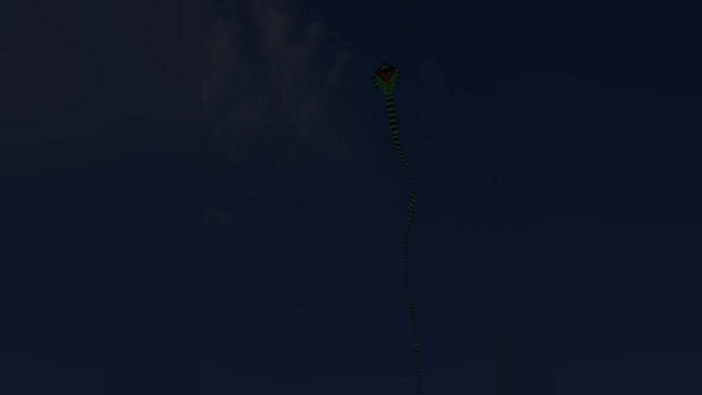 49ft Giant Cobra Snake Kite with Colorful Long Tail & 1476 ft String Line, Includes 7.8\