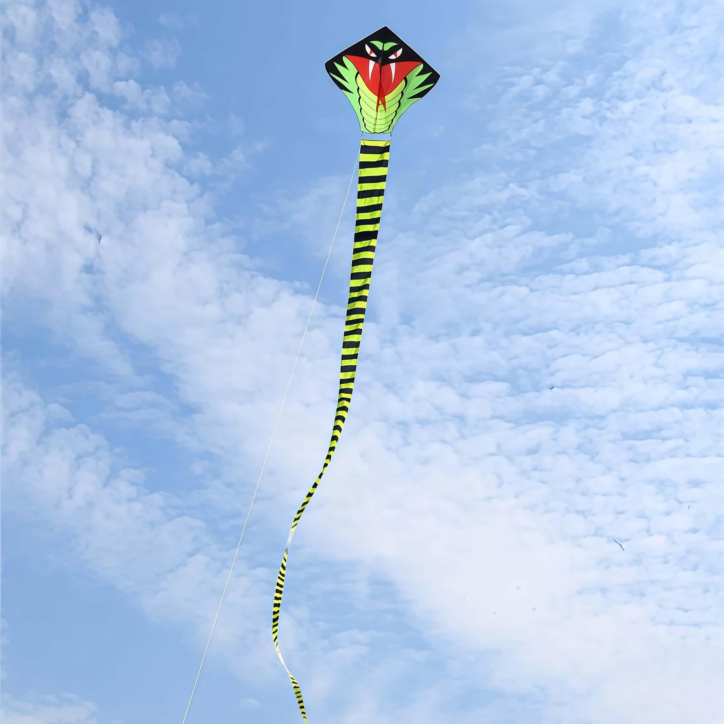 49ft Giant Cobra Snake Kite with Colorful Long Tail & 1476 ft String Line, Includes 7.8\