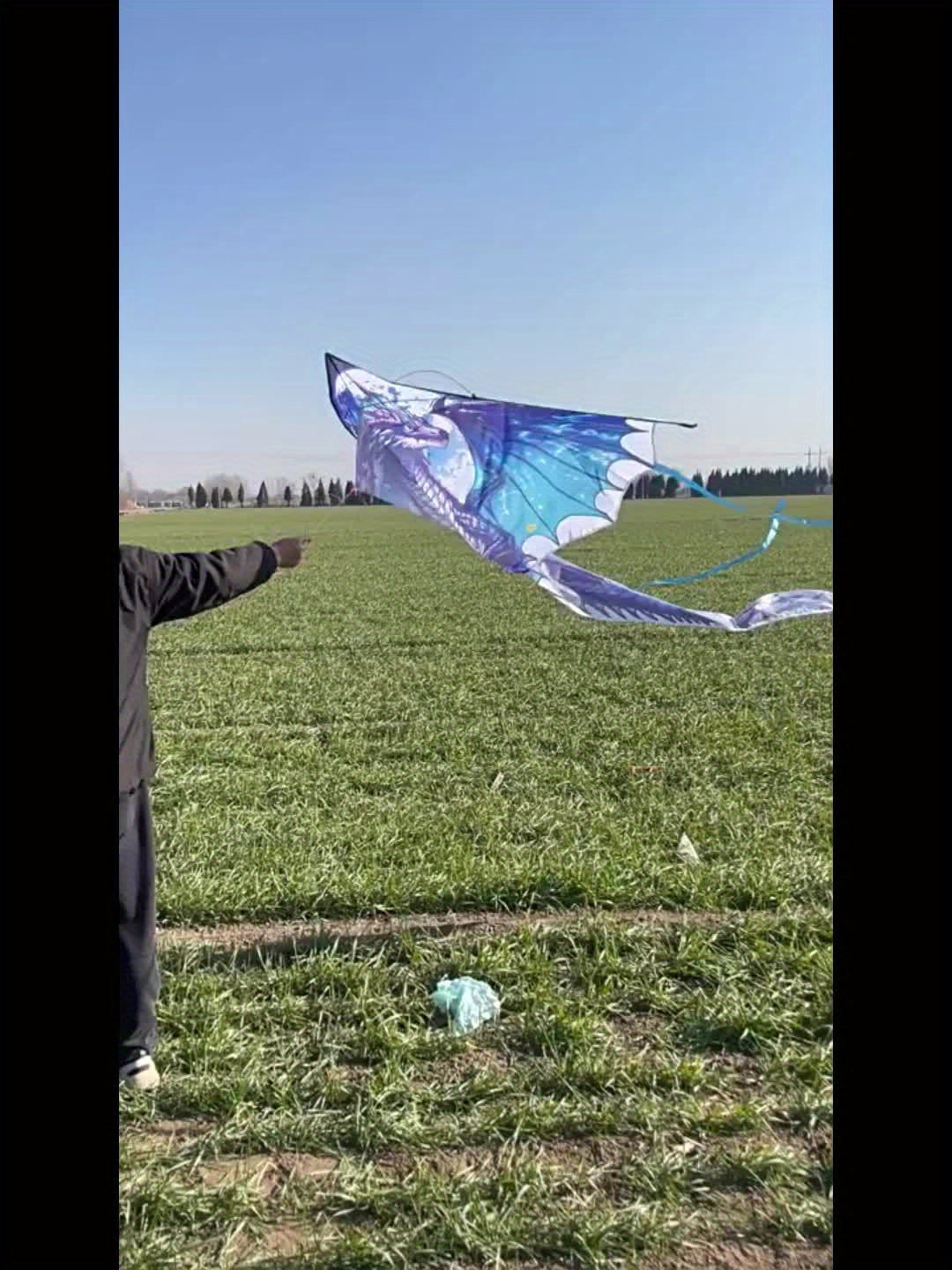 Mystical Ice Dragon Kite - 3D Cut, Durable Polyester, Perfect for Outdoor Beach & Park Fun, Creative Holiday Gift Idea, Best for Christmas, Perfect for Thanksgiving