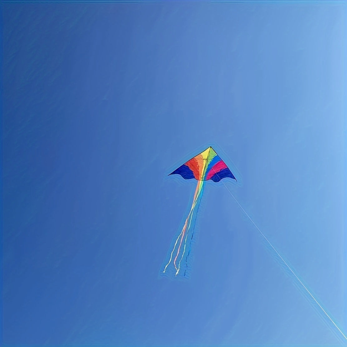 Rainbow Bird Kite for Sports with Dual Line Control, 230cm Wingspan with 100m String, Chemical Fiber Material, Precision Positioning Printing - Kite Flying Travel Accessory from Other Regions